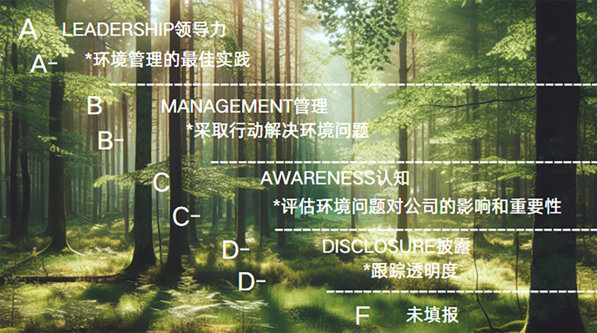 以碳减排为笔，绘就绿色新篇：Z6尊龙抖圈股份获 CDP 双领域治理级最高档级认证